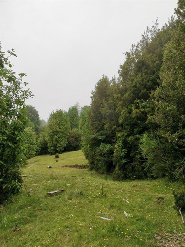 Parcela En Venta En Puerto Varas