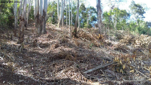 Imagem 5 de 5 de Terreno Para Venda Em Teresópolis, Prata - Te015_2-1230429