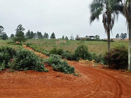 Imagen 5 de 7 de Loteo Don Kurrle, Hermosos Terrenos En San Pedro, Misiones