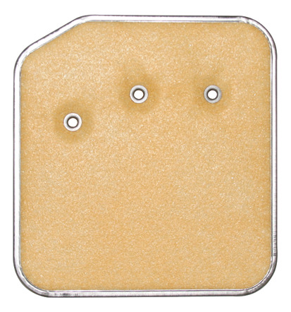Filtro Transmision Automatica Shadow Spirit Ram