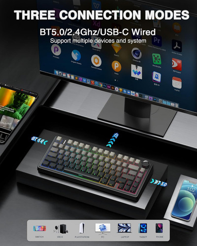 Aula F75 Pro Teclado mecánico inalámbrico, 75% Teclado mecánico RGB de 2,4 GHz/USB-C/BT5.0, Teclado Gamer Intercambiable con interruptores prelubricados y Teclas PBT