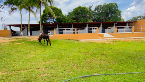 C-4398 Se Vende Finca En Tocuyito Sabana Del Medio Bajando De Precio Oportunidad 