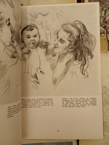 Continente - Lote De 14 Revistas (Usado)
