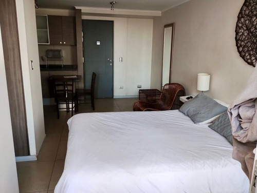 Studio Con Balcon A Pasos De Metro Moneda (85659)