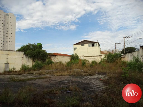 Imagem 2 de 7 de Terreno - Ref: 11184