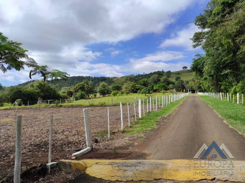 Imagem 3 de 30 de Chácara À Venda, 360000 M² Por R$ 3.400.000,00 - Fazenda Nata - Londrina/pr - Ch0189