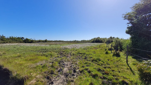 Parcela 10.000 M2 (1 Hectárea) - La Pasada - Maullín