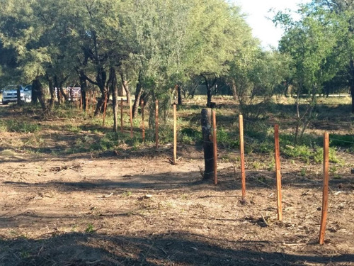 Imagen 4 de 8 de Gran Lote De 1500 Mts Con Forestacion Autoctona!!