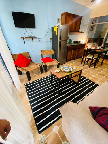 Alquiler, Apartamento De 1 Habitación En La Zona Colonial