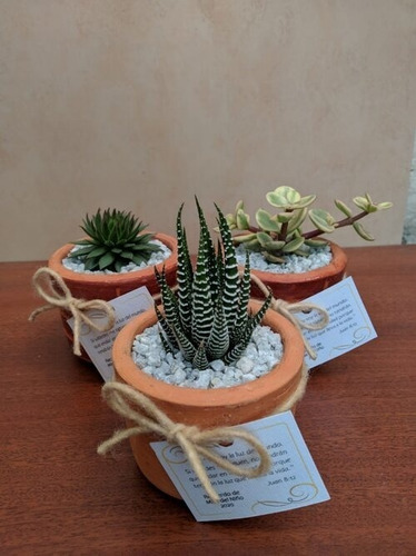 Imagen 5 de 10 de Recuerdos Plantas, Cactus Y Suculentas, Souvenirs, Barro