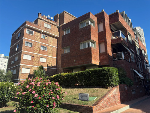 Apartamento A Una Cuadra De La Playa Brava - 1 Dorm