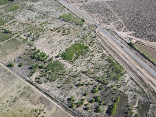 Imagen 4 de 6 de Lote Terreno En Añelo Neuquén