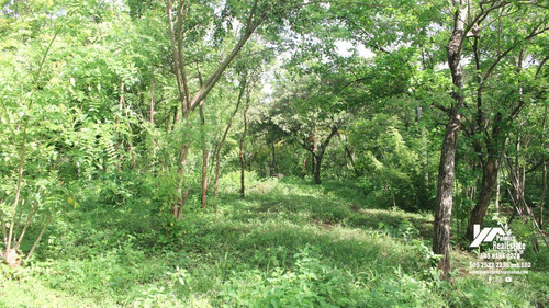 Imagen 10 de 11 de Vendo Finca En Remate En Masaya