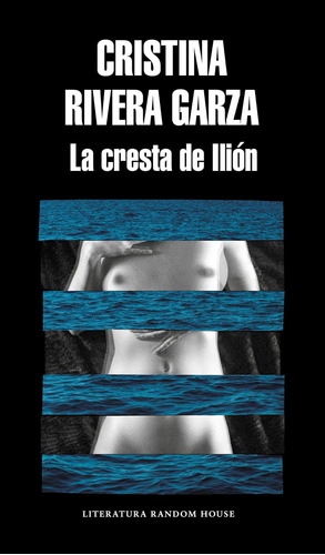 Libro: La Cresta De Ilión The Iliac Crest (spanish Edition)