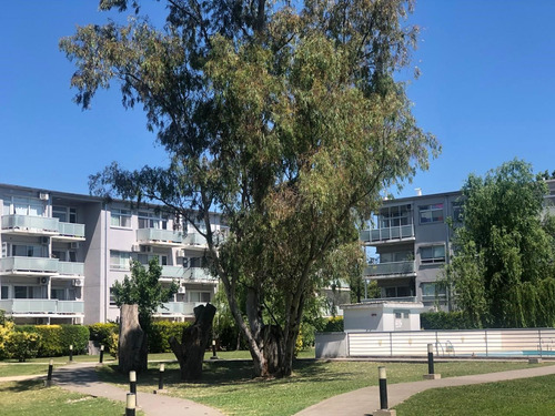 Departamento En Alquiler En La Mora (tigre), Tigre, G.b.a. Zona Norte