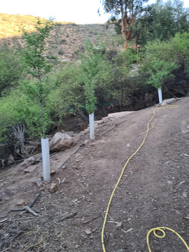 Terreno Único En Venta! 6180 Mts Arboles Frutales