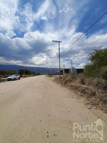 Terreno - Merlo