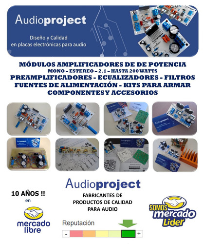 Imagen 6 de 6 de Modulo 100+100 W Puenteable A 200 W Con Disipador Y Coolers
