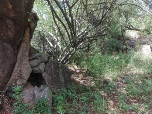 Imagen 24 de 30 de Venta Hermoso Terreno, Fondo De Arroyo, Las Rabonas, Nono, Traslasierra