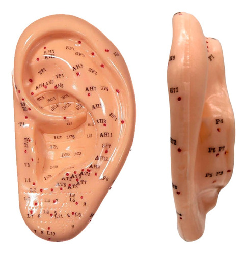 Practica De Acupuntura Modelo De Oreja 13cm Puntos