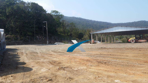 Terreno À Venda, 4000 M² Por R$ 991.000,00 - Ratones - Florianópolis/sc - Te0306
