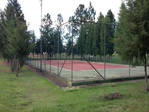 Imagem 6 de 15 de Terreno - T34 - 3125628