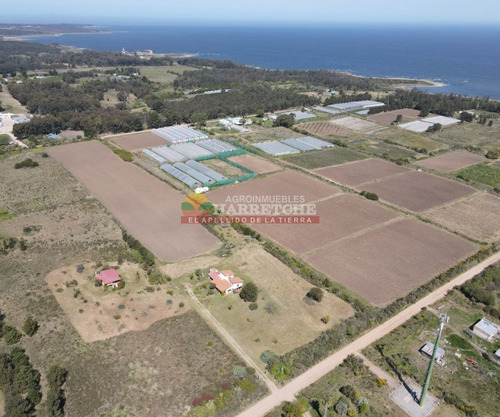 Imagen 6 de 30 de Chacra, 4 Has En Pajas Blancas, Casa, Excelente Vista Al Rio De La Plata