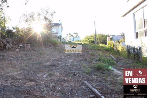 Imagem 4 de 4 de Terreno Localizado No Condominio Buena Vista - V-139