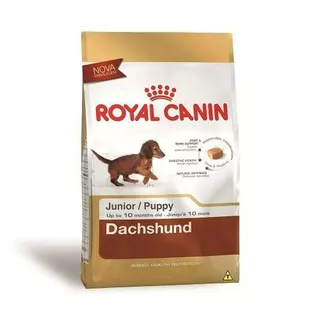 Alimento Royal Canin Breed Health Nutrition Dachshund para cachorro filhote de raça pequena em sacola de 2.5kg