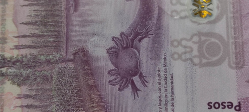 Billete De 50 Pesos Ajolote Serie Ag Con Error De Impresión