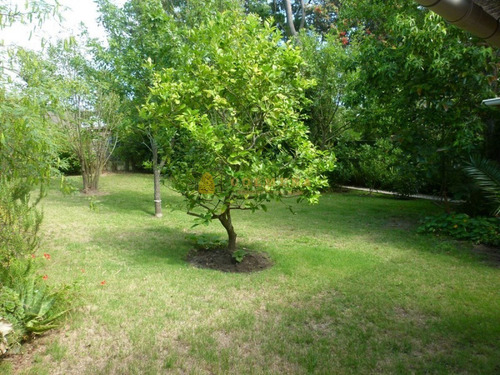 Casa En Pinares De 4 Dormitorios, 3 Baños, Cocina, Living-comedor - Consulte!!!!!- Ref: 1692