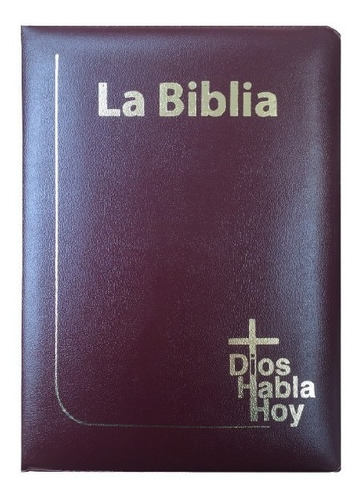Biblia Católica Dios Habla Hoy  Letra Gigante -vino Tinto