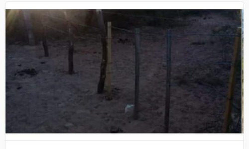 Imagen 13 de 19 de Campo - El Chacho