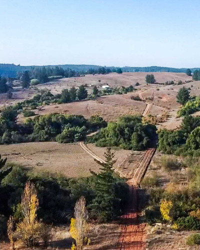 Gran Parcela Con Casa En Rere Yumbel (77642)