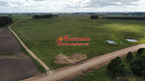 Imagen 3 de 29 de Chacra En Venta