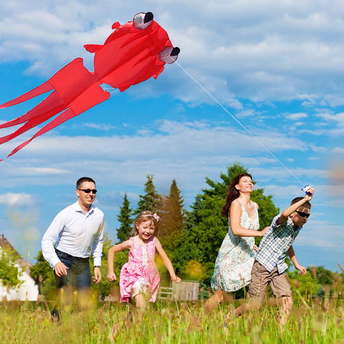 Cometa Gigante En 3d Con Cuerda De 30 M Para Playa Y Diversi