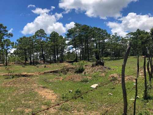 Imagen 5 de 6 de Terreno En Venta El Vergel