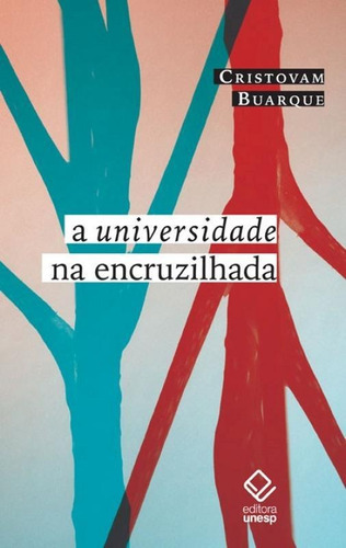 A Universidade  Encruzilhada: A Universidade  Encruzilhada, De Buarque, Cristovam. Editora Unesp, Capa Mole, Edição 1 Em Português