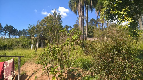 Casa Residencial À Venda, Chácara Roselândia, Cotia - Ca1690. - Ca1690