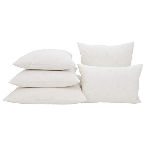 Relleno De Almohada De Plumas De Ganso, Blanco, 17 X17