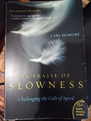In Países Of Slowness - Carl Honoré