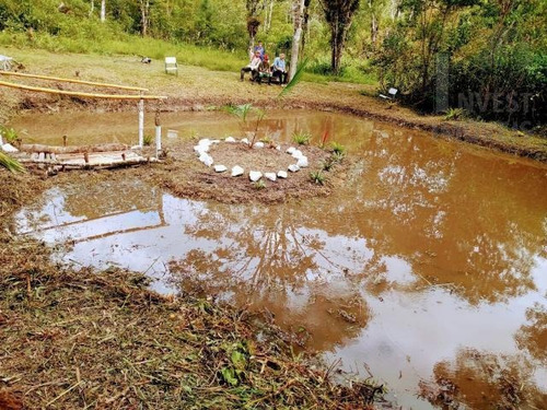 Imagem 1 de 15 de Cod 5997 - Sítio Com 20 Alqueires Em Miracatu-sp - 5997