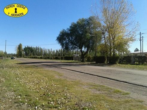 1882sa-lote De 5.000 M2 En San Rafael Mendoza