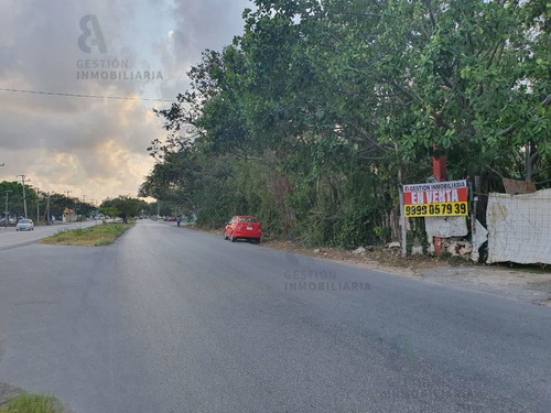 Imagen 5 de 6 de Terreno En Venta En Avenida Chichen Itza Cancún, Quintana Ro