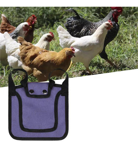 3 Sillas De Montar Para Pollo, Silla De Gallina Violeta