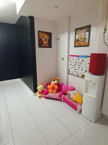 Venda Apartamento Sao Caetano Do Sul Jardim São Caetano Ref: - 1033-8285