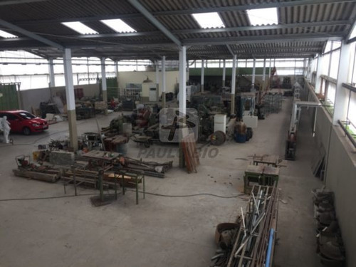 Imagem 9 de 15 de Terreno Industrial - Batistini - Ref: 4839 - V-4839