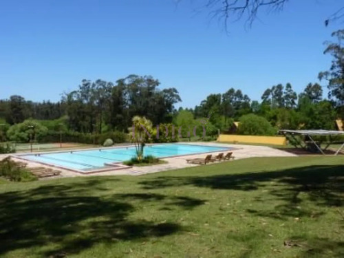 Excelente Oportunidad De Compra En Una De Las Zonas Más Tranquilas De Punta Del Este
