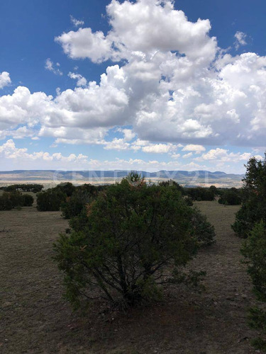 Excelente Terreno En La Sierra Fria,