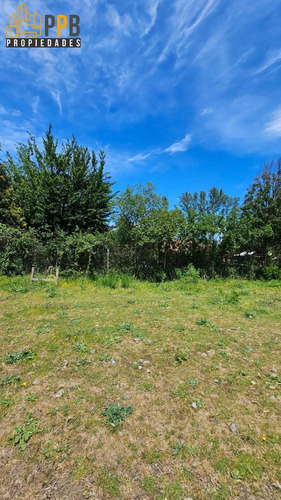 Vendo Dos Parcelas De 5.000m² Con Excelente Ubicación En P